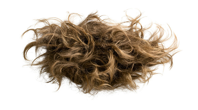 Abstract organic fibrous cloud shape isolated on transparent background