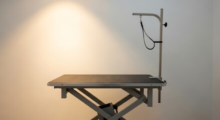 Adjustable height grooming table, perfect for pet salons and veterinary clinics spaces