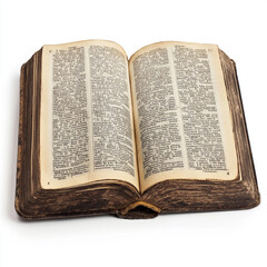 Obraz premium book image