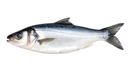 Obraz premium Fresh whole fish, side view (1)