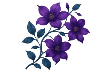 Obraz premium Purple clematis blossoming against transparent backdrop, ideal for design compositions