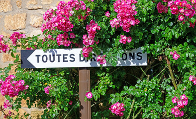 Signpost pointing in all directions near a wild rose bush withdark  pink blossoms in Domme in the Perigord, France