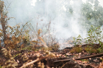 Peatland fires in Kalimantan occur almost every dry season, spreading haze across regions and severely disrupting public activities, air quality, and even flights in affected areas.