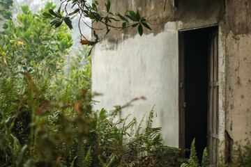 Peatland fires in Kalimantan occur almost every dry season, spreading haze across regions and severely disrupting public activities, air quality, and even flights in affected areas.