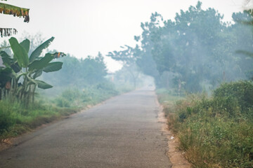 Peatland fires in Kalimantan occur almost every dry season, spreading haze across regions and...