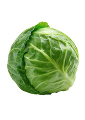 Fototapeta premium Close-up of a vibrant green cabbage head