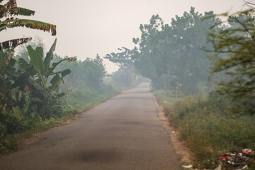Peatland fires in Kalimantan occur almost every dry season, spreading haze across regions and...