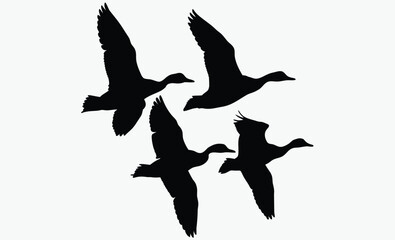 Flying duck silhouette, Flock of flying duck silhouette vector, duck bird icon vector art illustration  
