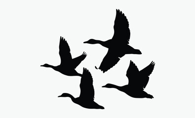 Flying duck silhouette, Flock of flying duck silhouette vector, duck bird icon vector art illustration  