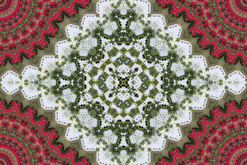 Complex symmetrical pattern for digital art, printing, background and wallpaper.