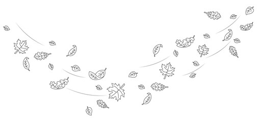 Hand Drawn Autumn Leaves Blowing in Wind. Outline Falling Leaves Border. Decorative Nature Background for Seasonal Designs, Greeting Cards, Invitations, Coloring Pages, and Posters.