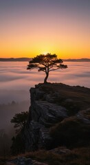 Sunrise over a solitary tree on a clifftop, with a misty valley below