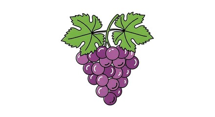 Bunch of Purple Grapes – Flat Vector Illustration