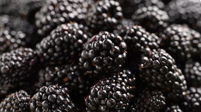 Overhead slow-mo: Juicy blackberries tumble onto a berry heap. Extreme close-up reveals glistening drupelets and harvest-fresh vibrance.