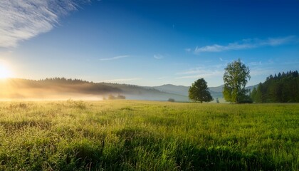 Obraz premium serene summer morning blue sky green grass and misty field