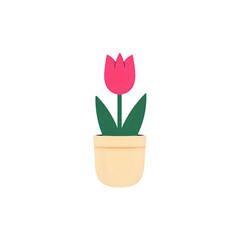 Pink Tulip in Pot: Simple Flower Illustration, Spring Bloom, Botanical Design Element
