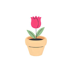 Rose Flower in pot