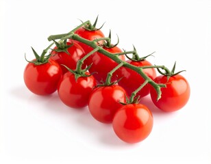 red tomatoes on a vine