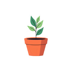 Vibrant Plant Sprout in Terracotta Pot: Growth, Nature, and New Beginnings