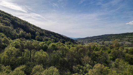 Aerial view of beautiful green forest landscape with mountains and clear blue sky, showcasing pristine nature scenery