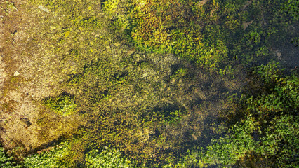 Aerial view of a pristine river source in nature, surrounded by lush greenery and untouched wilderness landscape