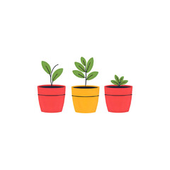 Plant Growth Stages: Seedling Development in Pots - Gardening Illustration
