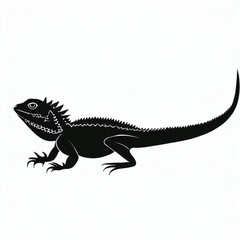 Agama Lizard Illustration