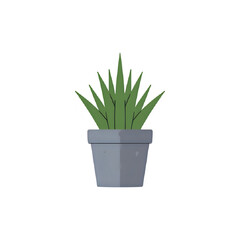 Potted Plant: Simple Green Succulent in Grey Pot - Minimalist Design Element