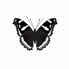 Stylized Admiral Butterfly Icon