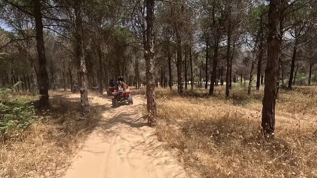 A couple riding an all-terrain vehicle (ATV) along a sandy road surrounded by trees in Tunisia. Adventure, travel, and nature exploration in North Africa.