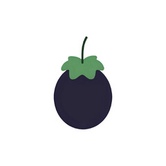 Vibrant Mangosteen Illustration: Tropical Fruit Graphic for Design Projects