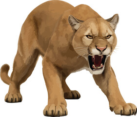 Ultra Realistic 3D Mountain Lion Render