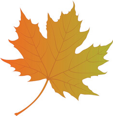 Fall Autumn Leaves Icon Creative Layout, set of maple leaves vector, Clip Art Fall leaf Illustration