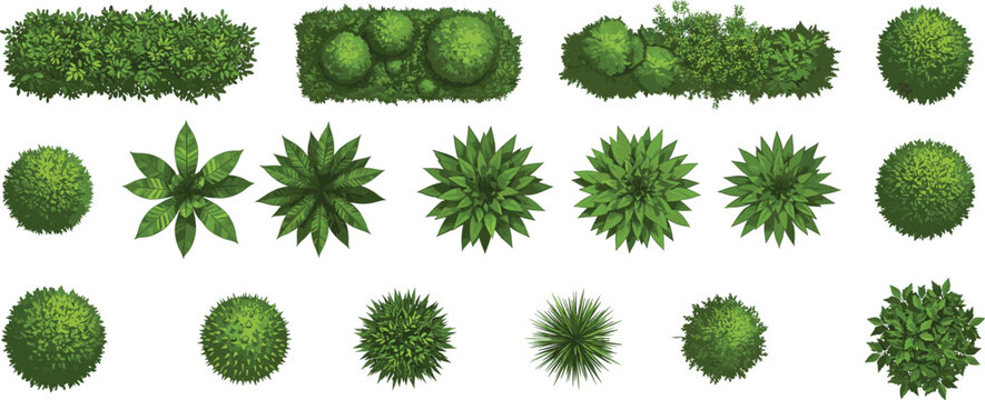 Top view green bushes, shrubs, and garden plants collection, isolated foliage elements for landscaping, garden design, urban planning, architectural rendering