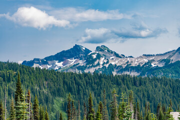 Nature mountain forest. Green forest wood landscape in mountain. Nature of mixed forest. Landscape...