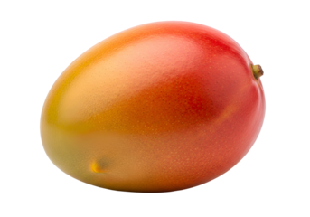 Ripe Mango Fruit with Red Orange and Yellow Colors.