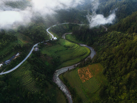Aerial view of lush, terraced rice fields cascading down the hillsides alongside a winding river road, Rice Tray Viewpoint M&Atilde;&cent;m X&Atilde;&acute;i, Y&Atilde;&ordf;n B&Atilde;&iexcl;i, Vietnam.