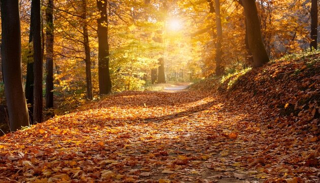 a forest path covered with golden leaves bathed in soft sunlight creating a peaceful autumn atmosphere in nature