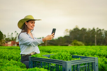 Young female farmer inspecting organic lettuce crops while holding a smartphone. Sustainable agriculture and smart farming concept. Woman using mobile technology in rural agribusiness.