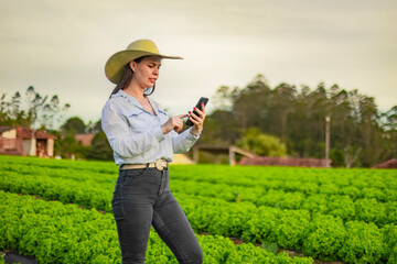 Young female farmer inspecting organic lettuce crops while holding a smartphone. Sustainable agriculture and smart farming concept. Woman using mobile technology in rural agribusiness.