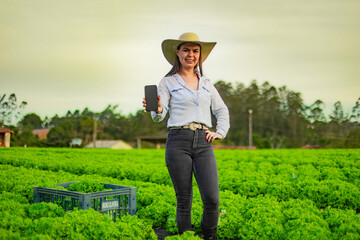 Young female farmer using smartphone in an organic lettuce field. Smart farming and digital agriculture concept. Rural woman managing crops with technology in the countryside.