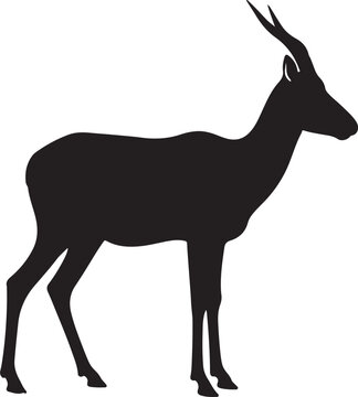 Oribi Antelope Vector Silhouette