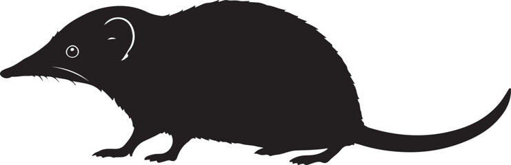 Orizaba Long-tailed Shrew Vector Silhouette