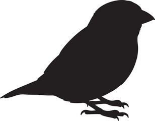 Pectoral Sparrow Vector Silhouette