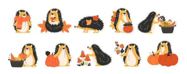 Cute autumn fall hedgehog illustration set in flat style with seasonal forest elements perfect for children’s designs, greeting cards, posters, stickers and thanksgiving themed decorations © YuliiaKutsaieva