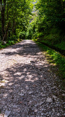Paisaje en Bulnes, Picos de Europa.