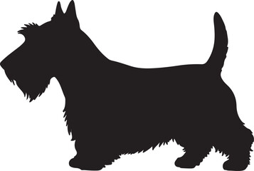 Scottish Terrier Vector Silhouette