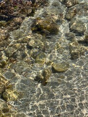 Crystal-Clear Water Over Sunlit Stones