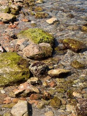 Crystal-Clear Water Over Sunlit Stones
