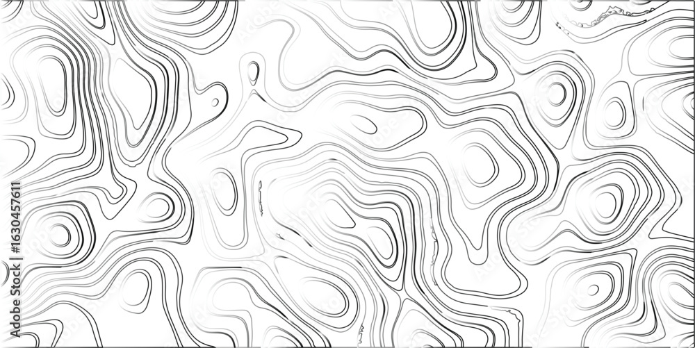 Poster abstract black and white contour lines forming a dynamic pattern on a white background artistic topo